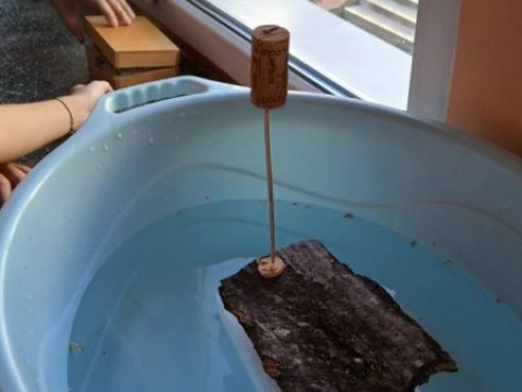 Открит урок