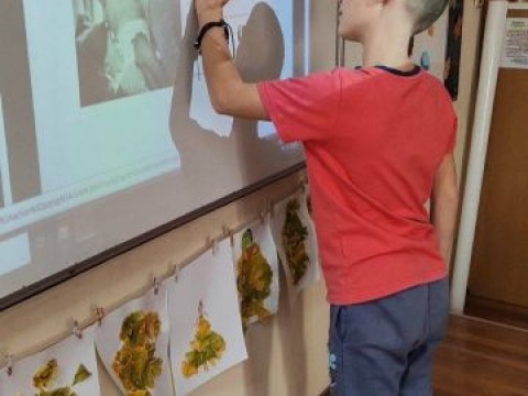 Занимания по интереси