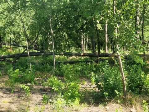 Девет пожара потушени в община Нова Загора след буря – благодарност към пожарникари, земеделци и доброволци