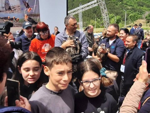 Инициатива