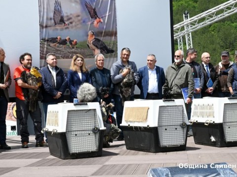 Osvobojdavane na bradat leshoqd