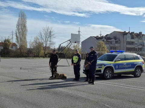 Демонстрация