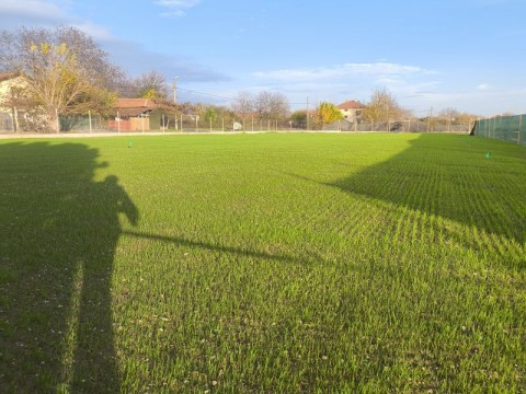 игрище - Самуилово