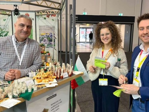 България се позиционира като надежден доставчик на зеленчуци на европейския пазар