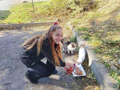 Инициатива