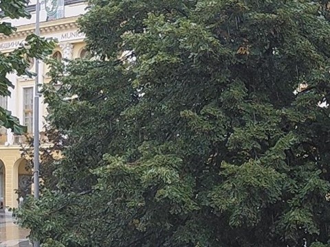 Сливен