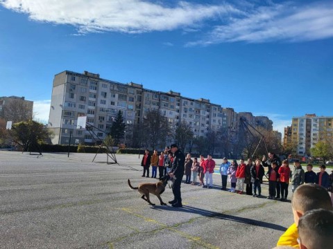 Демонстрация