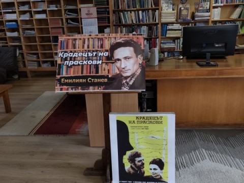 Библиотека "Зора"