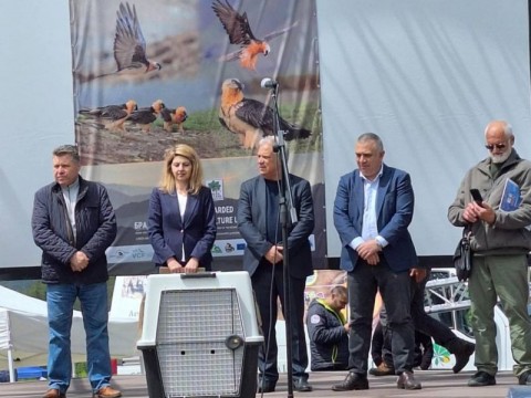 Инициатива