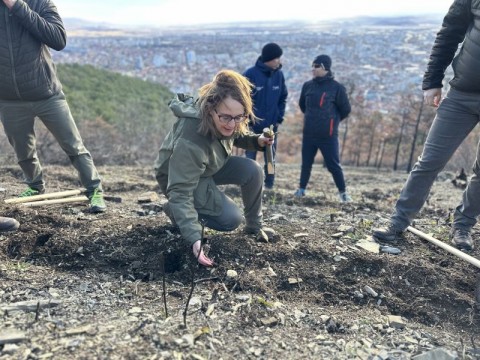 Въпреки силния вятър, много хора се включиха в акцията по залесяване на Бармук баир в Сливен 