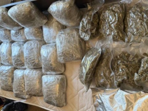30 килограма канабис са иззет при спецакция на полицията в Сливен