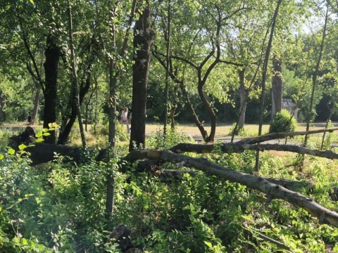 Девет пожара потушени в община Нова Загора след буря – благодарност към пожарникари, земеделци и доброволци