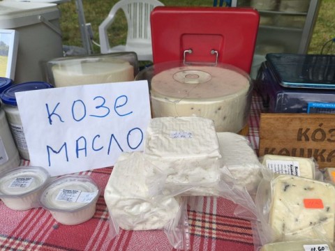 изложение - животновъди