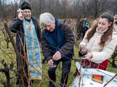 Община Твърдица отбеляза Трифон Зарезан с ритуално зарязване на лозе