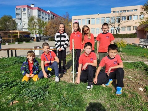 Инициатива