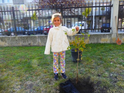 Деца от Нова Загора засадиха фиданка с призив „Не на насилието!“