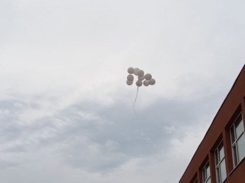 Снимка 4