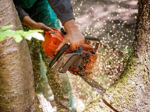 Каква техника ни е необходима за бързо рязане и цепене на дървата?