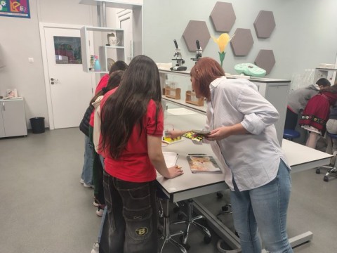 Иновативен метод на работа