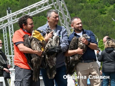 Osvobojdavane na bradat leshoqd