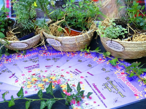 Село Баня отпразнува Еньовден с пъстър фолклорен събор край Тунджа