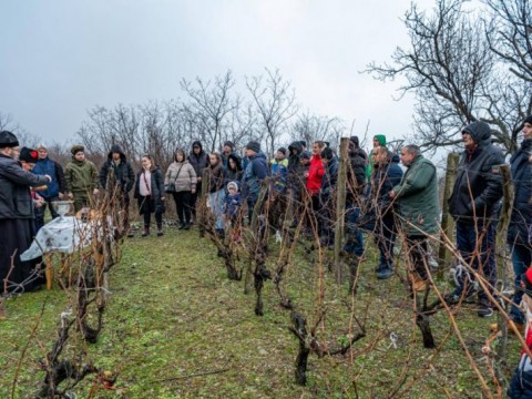 Община Твърдица отбеляза Трифон Зарезан с ритуално зарязване на лозе
