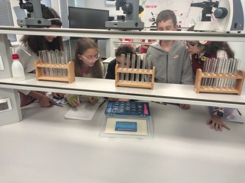 Иновативен метод на работа