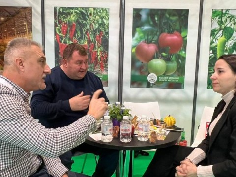 България се позиционира като надежден доставчик на зеленчуци на европейския пазар