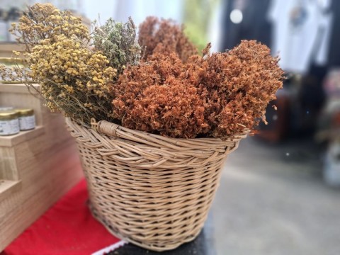 Festival