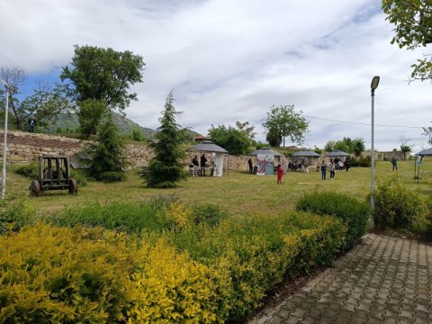 Osvobojdavane na bradat leshoqd