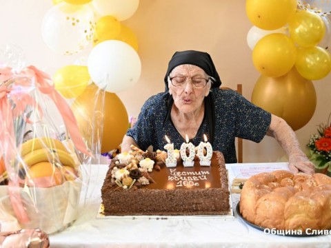 столетница