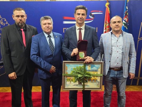 делегация Ниш