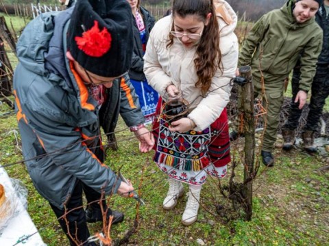 Община Твърдица отбеляза Трифон Зарезан с ритуално зарязване на лозе