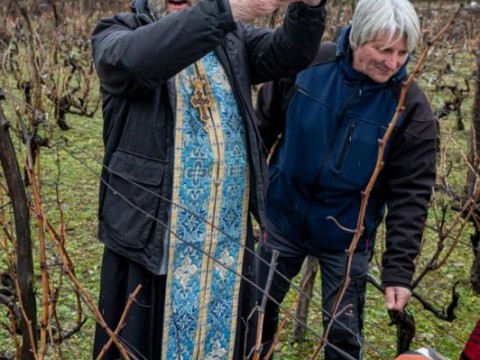 Община Твърдица отбеляза Трифон Зарезан с ритуално зарязване на лозе