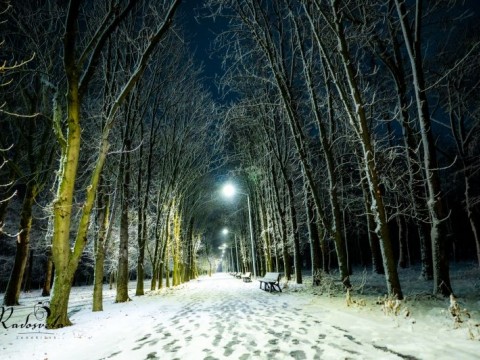 Спокойна зимна обстановка в община Нова Загора след снеговалежа