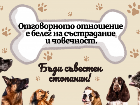 Отговорните стопани защитават своите любимци – регистрацията и чипирането на кучета са задължителни