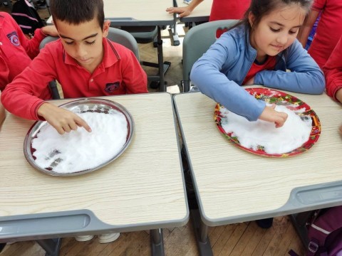 Занимания по интереси