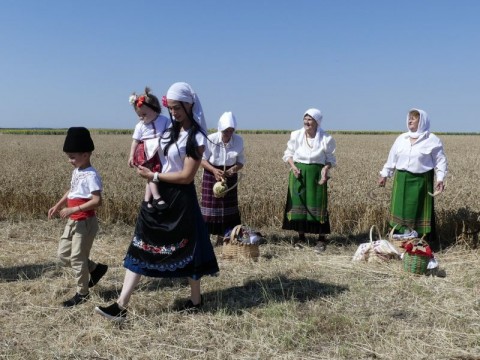 С красив ритуал в новозагорското село Млекарево поставиха началото на жътвата