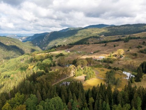 Ето как мъховете пазят крехката природа в Родопите