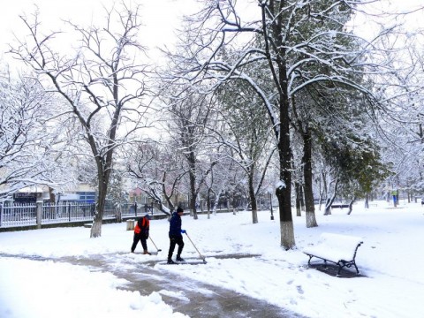 Спокойна зимна обстановка в община Нова Загора – пътищата са проходими