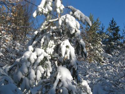 Снимка на деня 02.02.2026 г.