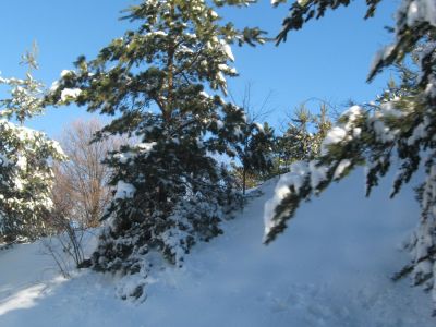 Снимка на деня 02.11.2025 г.