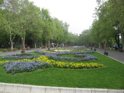 Снимка на деня 03.12.2025 г.