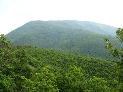 Снимка на деня 09.11.2025 г.