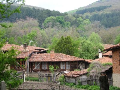 Снимка на деня 11.12.2025 г.