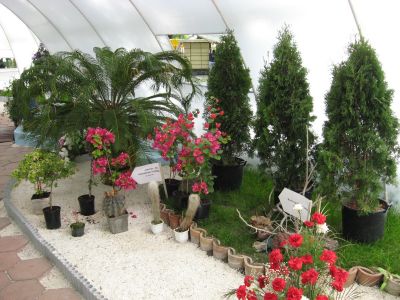 Снимка на деня 04.12.2025 г.