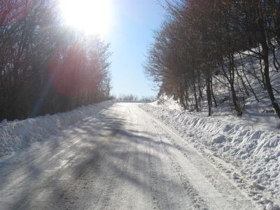 Снимка на деня 04.02.2026 г.