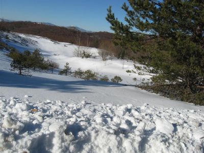 Снимка на деня 08.02.2026 г.