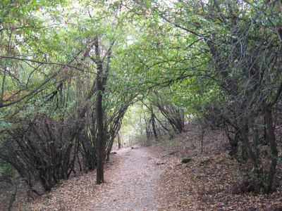 Снимка на деня 05.03.2026 г.