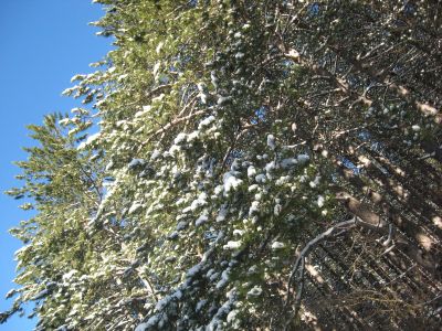 Снимка на деня 01.11.2025 г.